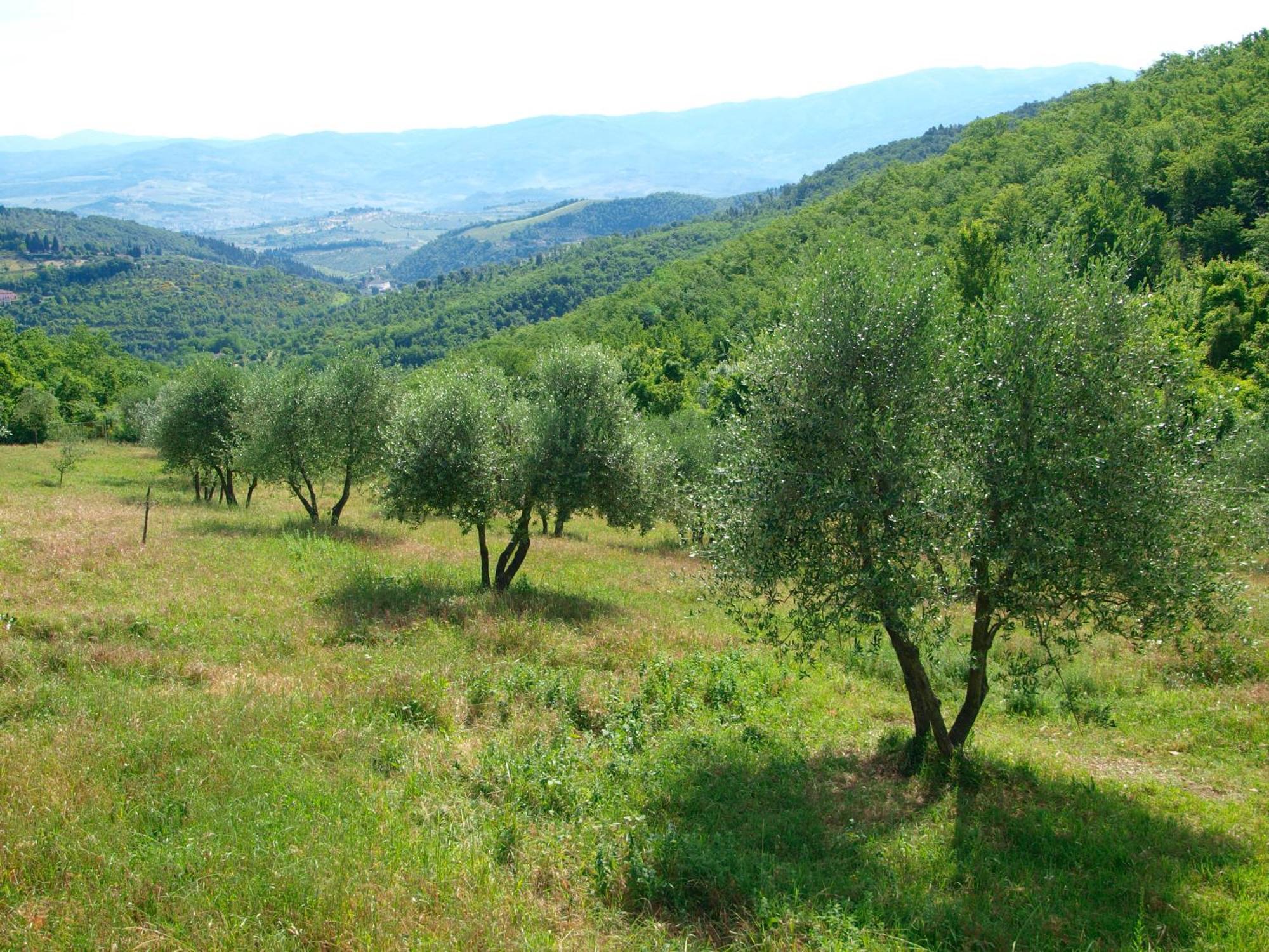 Casignano Bed & Breakfast Bagno a Ripoli Стая снимка